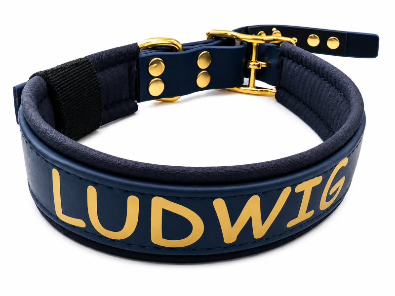 Preview: Luxus Hundehalsband mit Namen – Navy Gold 3.5cm breit