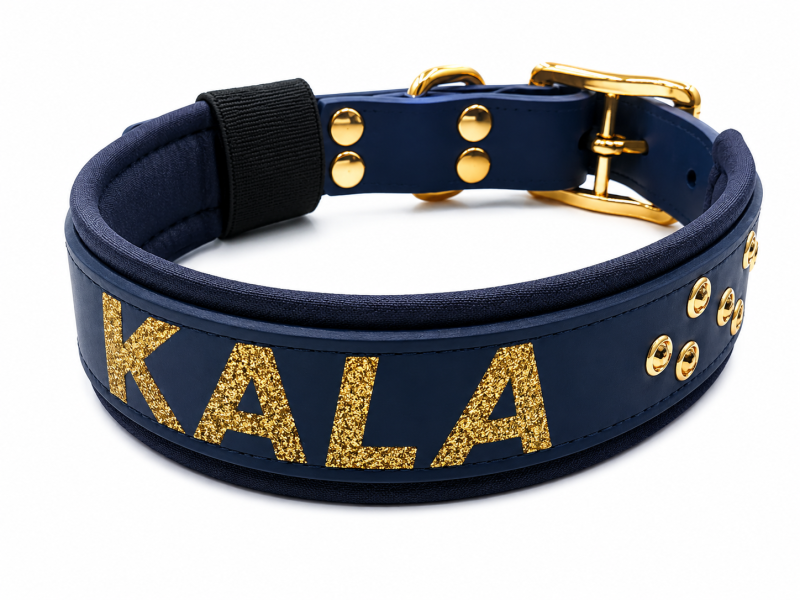 Luxus Hundehalsband mit Namen – Navy Gold 3.5cm breit
