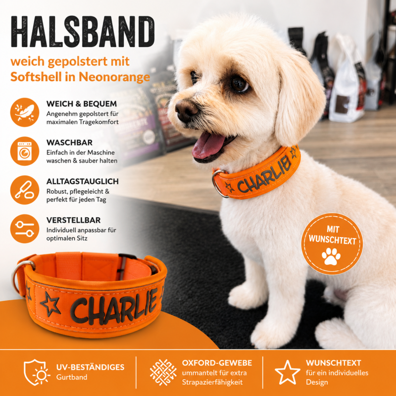 Preview: Neonorange Wunschtext Hundehalsband Softshell gepolstert – UV-beständig & handgefertigt