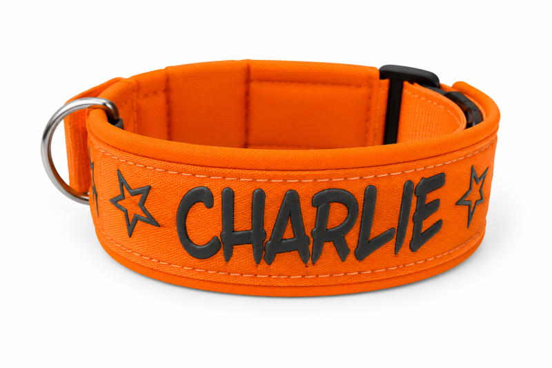 Neonorange Wunschtext Hundehalsband Softshell gepolstert – UV-beständig & handgefertigt