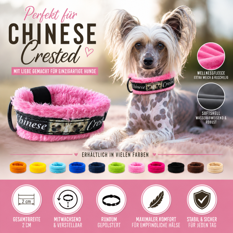 Preview: Hundehalsband für Chinese Crested – Rundum gepolstert mit Wellness-Fleece