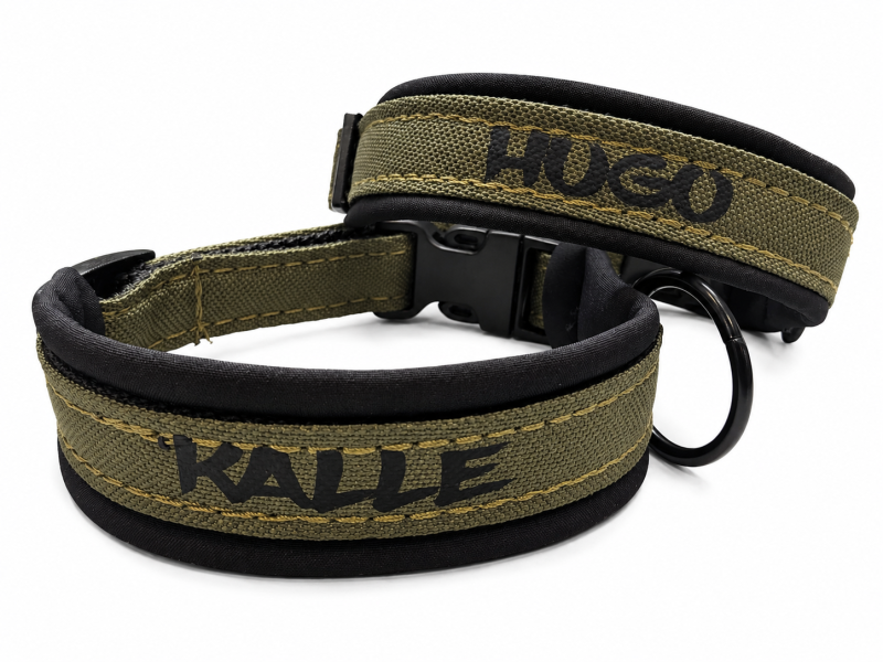 Personalisiertes Hundehalsband Oliv – mit Wunschtext, Softshell-Polsterung & Edelstahlbeschlägen