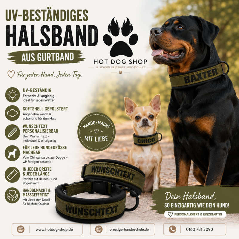 Preview: Personalisiertes Hundehalsband Oliv – mit Wunschtext, Softshell-Polsterung & Edelstahlbeschlägen