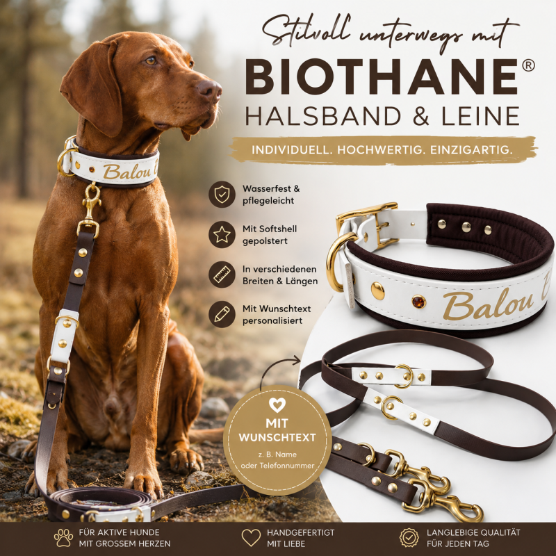 Preview: Biothane Halsband nach Maß – Wollweiß/Schokobraun mit Wunschtext & Softshell-Polsterung | Messingbeschläge