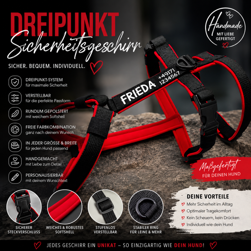 Preview: Dreipunkt-Sicherheitsgeschirr nach Maß – personalisierbar & rundum gepolstert