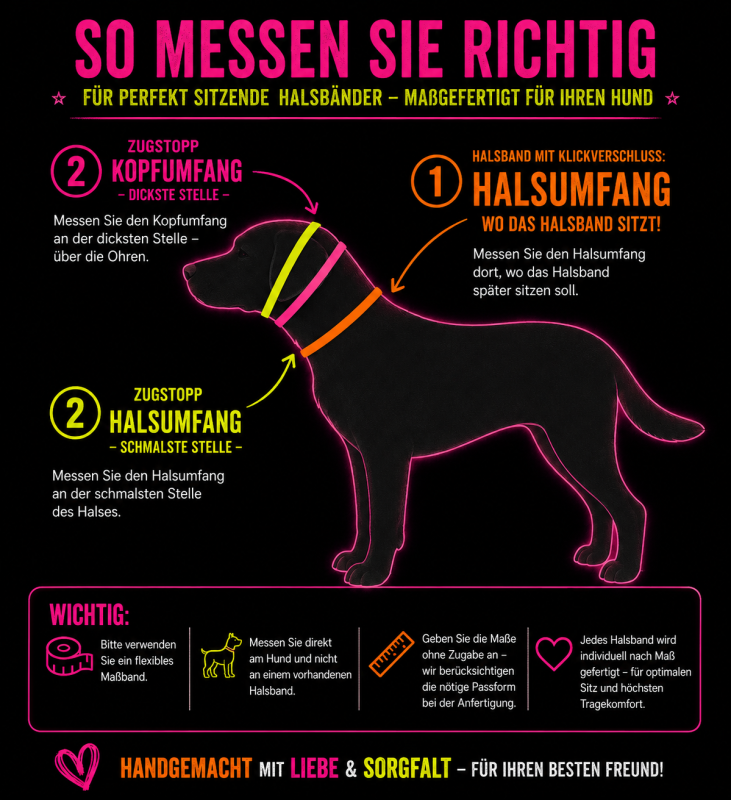 Preview: Biothane® Hundehalsband mit Softshell-Polsterung – personalisiert mit Wunschtext