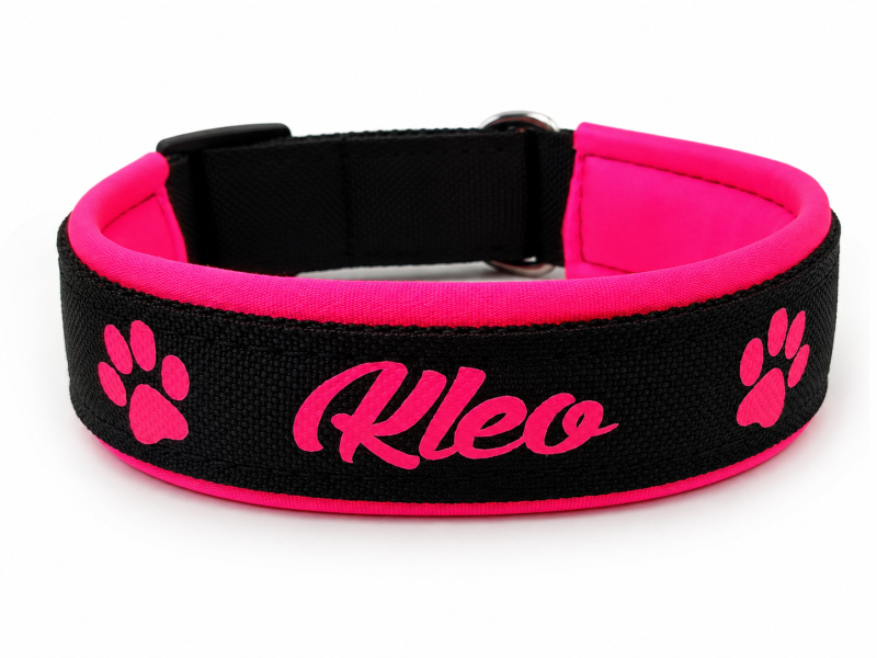 Preview: Personalisiertes Hundehalsband Neonpink & Schwarz - Mit Polsterung und Wunschtext