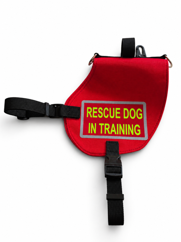 Handgefertigte Kenndecke für Hunde – individuell nach Maß | Rettungshund, Assistenzhund, Therapiehund, Diensthund & mehr