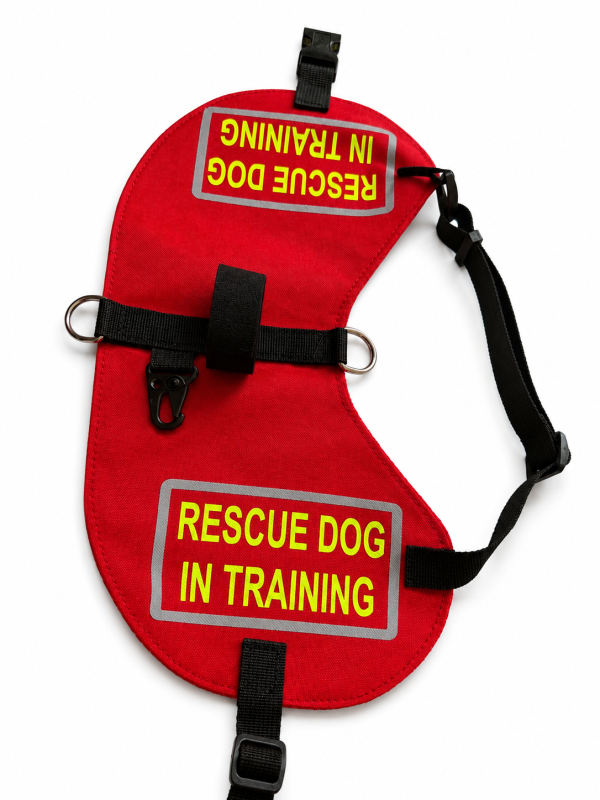 Preview: Handgefertigte Kenndecke für Hunde – individuell nach Maß | Rettungshund, Assistenzhund, Therapiehund, Diensthund & mehr