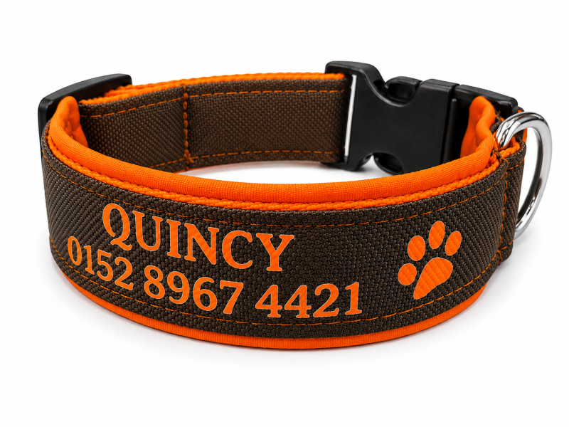 Personalisiertes Hundehalsband Braun/Neonorange – Softshell gepolstert | UV-beständig | Handgefertigt nach Maß