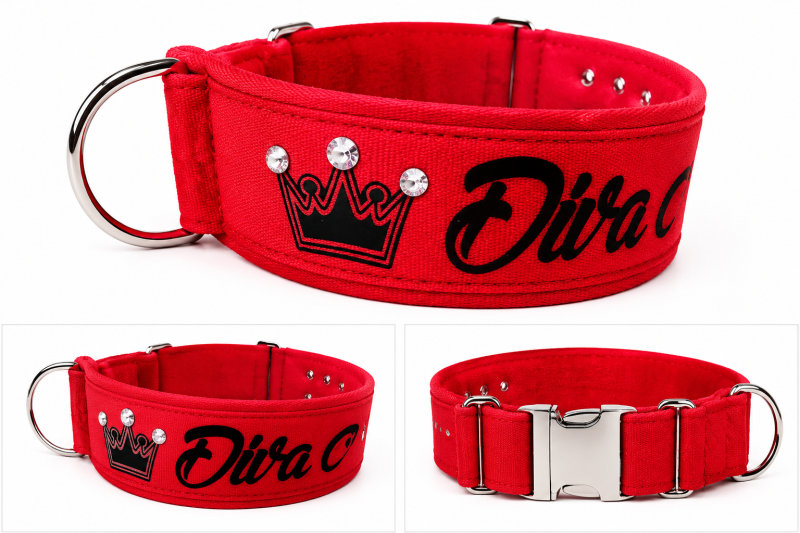 Preview: Personalisiertes Hundehalsband Rot mit Softshell-Polsterung – Maßanfertigung mit Wunschtext