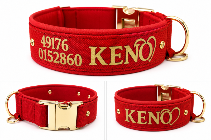 Personalisiertes Hundehalsband Rot mit Softshell-Polsterung – Maßanfertigung mit Wunschtext