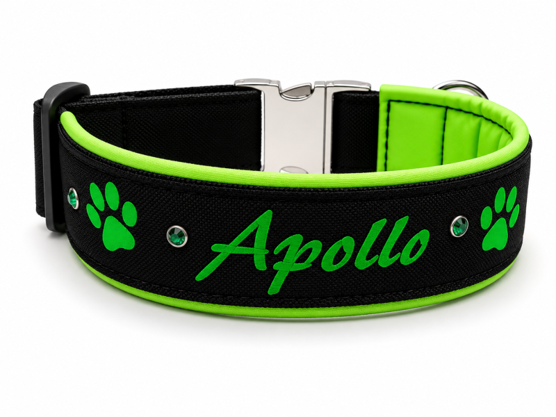 Preview: GlowTex Wunschtext-Hundehalsband – Glow in the Dark mit Neon-Softshell