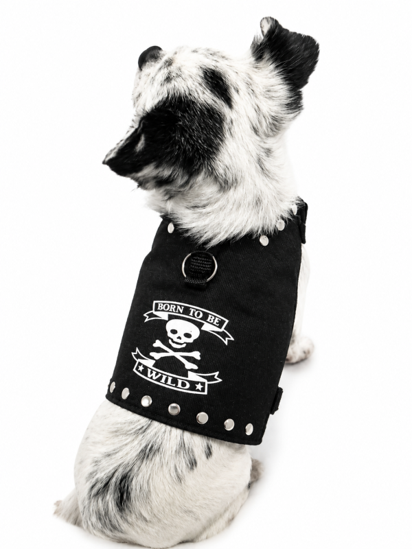 Rockerkutte / Lederjacke "Born to Be Wild" - Maßgeschneidertes Hundegeschirr aus Kunstleder