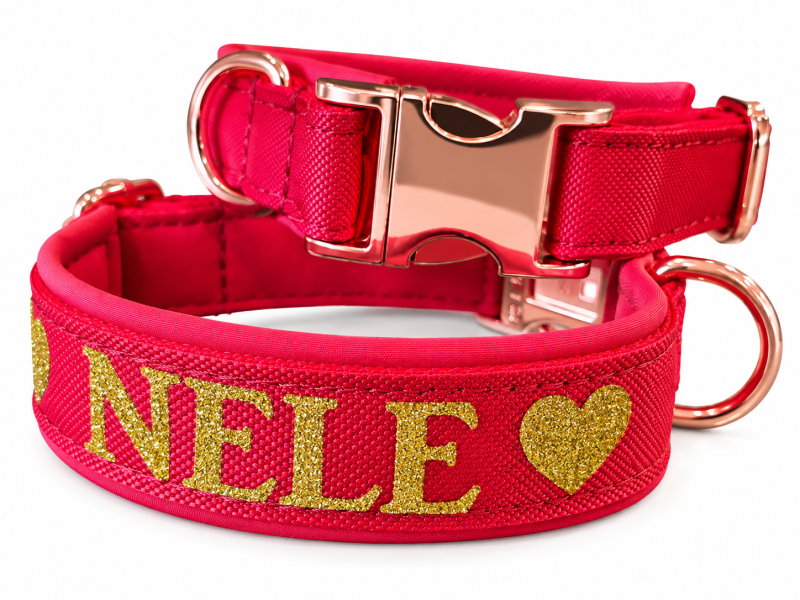 Preview: Personalisiertes Hundehalsband rot mit Wunschtext – gepolstert & handgefertigt
