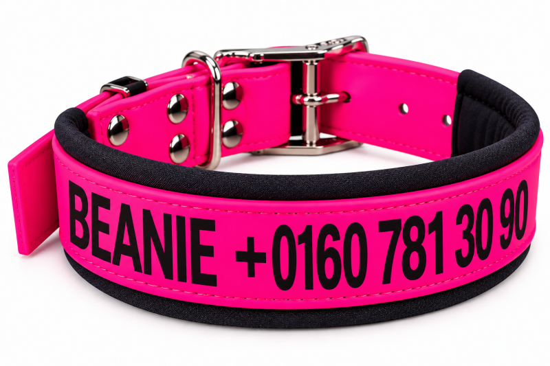 BioThane® Hundehalsband Neonpink/Schwarz – gepolstert & personalisiert mit Wunschtext