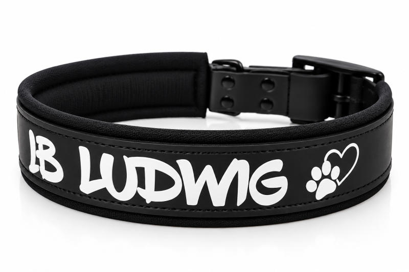 Preview: Personalisiertes Biothane Hundehalsband 3,5 cm – mit Namen & Softshell-Polsterung schwarz