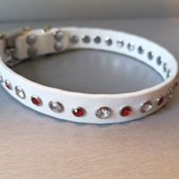 Biothane Halsband mit Strassnieten 1,5cm breit