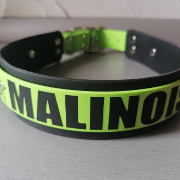 Personalisiertes Hundesport Halsband Malinois 4cm breit