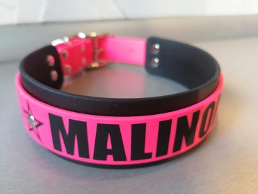 Personalisiertes Hundesport Halsband Malinois 4cm breit