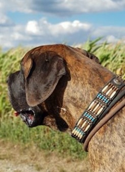 Indianerhalsband/Hundehalsband Lederhalsband Indianerlook