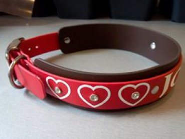 Personalisiertes Biothane Hundehalsband rot