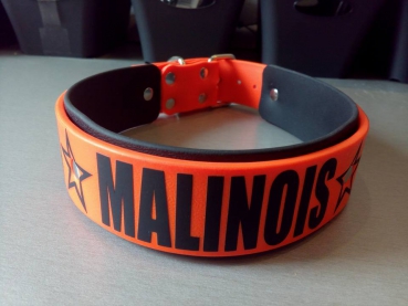 Personalisiertes Hundesport Halsband Malinois 4cm breit