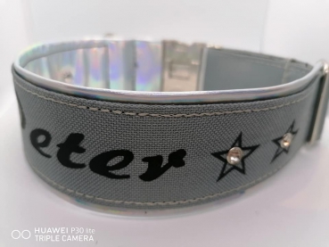 Personalisiertes Halsband grau Kunstleder Polsterung Holo