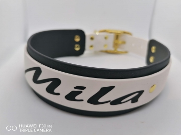 Personalisiertes Biothane Hundehalsband