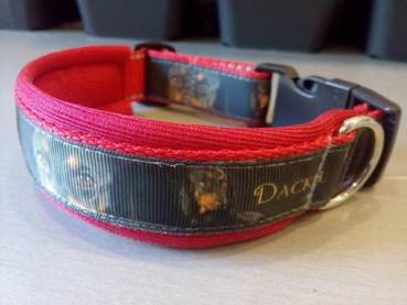 Dackel Hundehalsband Dackelhalsband mit Polsterung