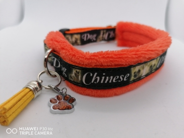Chinese Crested Halsband mit Wellnessfleece
