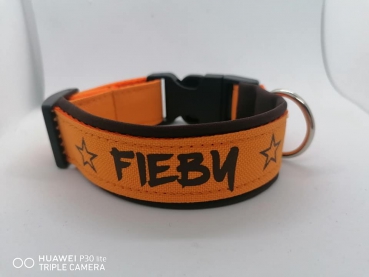 Personalisiertes Hundehalsband orange/braun