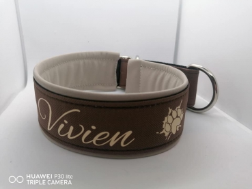 Hundehalsband mit Beschriftung braun/beige