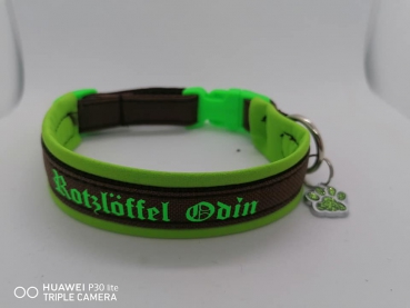 Wunschtext Halsband personalisiertes Halsband Hundehalsband grün/braun mit Polsterung