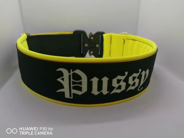 GlowGuard-Nachtleuchtendes Hundehalsband mit Wunschtext
