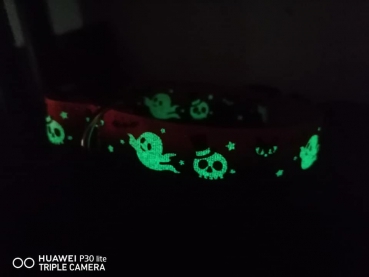 Helloween Hundehalsband glow in the dark
