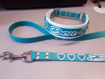 Personalisiertes Biothane Hundehalsband türkis/weiß