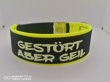 GlowGuard-Nachtleuchtendes Hundehalsband mit Wunschtext