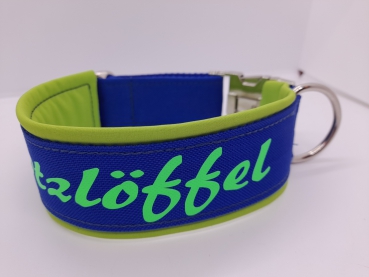 Personalisiertes Hundehalsband grün/blau mit Softshell Polsterung