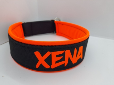 Personalisiertes Hundehalsband mit Polsterung orange/ schwarz