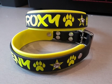 Personalisiertes Biothane Hundehalsband