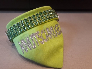 Preview: Halsband mit Tuch 2 in 1  Hundehalstuch Strass und Glitzer Wunschtext 1,5cm breit