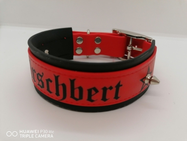 Personalisiertes Biothane Hundehalsband 4cm breit