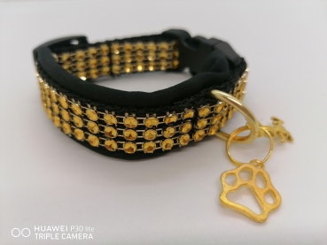 BlackGold - Eleganz auf vier Pfoten
