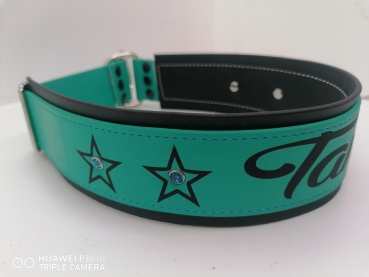 Personalisiertes Biothane Hundehalsband türkis