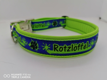 Rotzlöffel Hundehalsband grün/blau