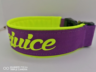 Personalisiertes Hundehalsband lila/neongelb