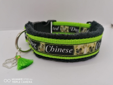 Chinese Crested Hundehalsband Nackthund