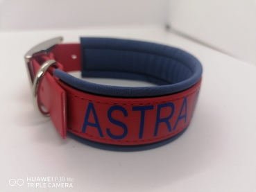 Biothane Hundehalsband blau-rot personalisiert