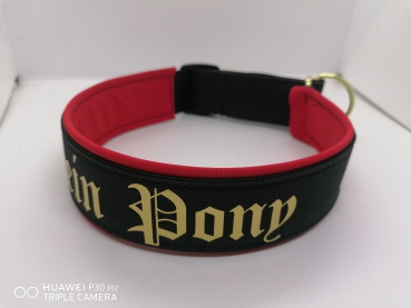 Hundehalsband personalisiert schwarz,rot,gold